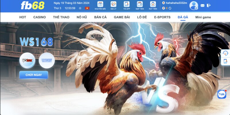 Trực tiếp đá gà casino FB68 - Cá cược thả ga ôm tiền cực đã 