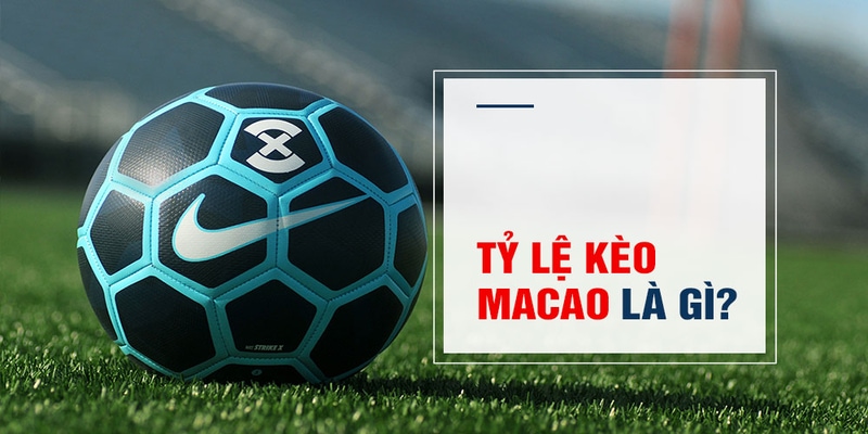 Tỷ lệ kèo 2 in 1 - Cách đặt cược kèo Macao hiệu quả 99%